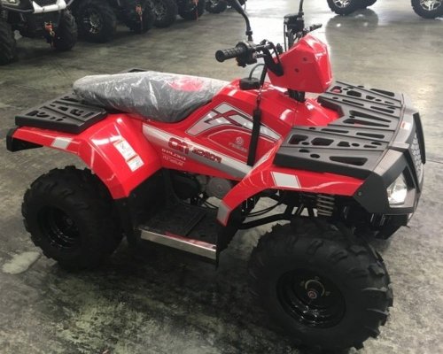 Квадроцикл Geon Force 110 EFI