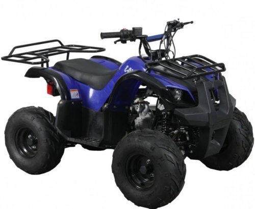 Квадроцикл Spark SP110-3