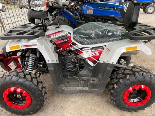 Квадроцикл Forte BRAVES 200