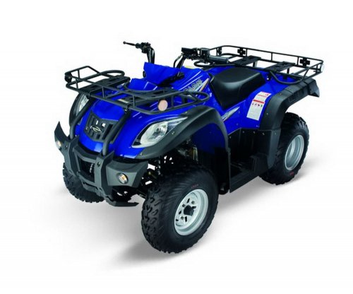 Квадроцикл Jianshe 250 ATV-5 Wild Cat