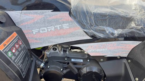 Квадроцикл FORTE AFC-250 PRO