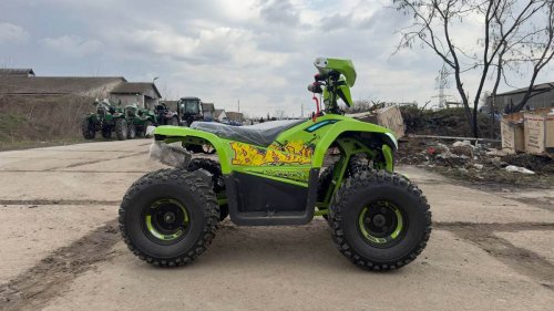 Электроквадроцикл Comman TEA750